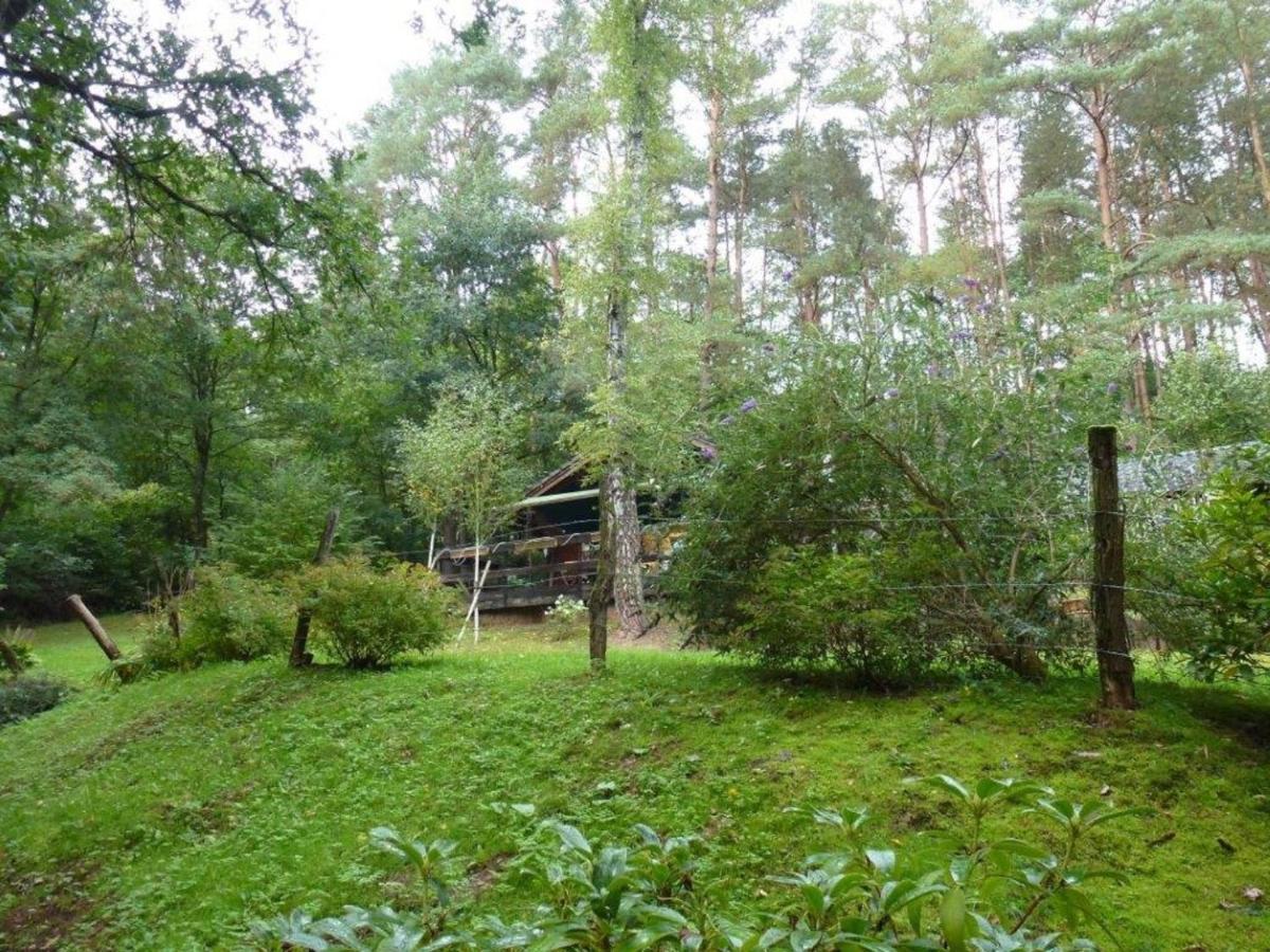 Cosy Chalet With Private Sauna In Bousseviller Phòng bức ảnh